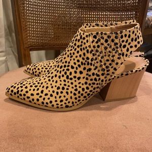 BRAND NEW NEVER WORN, leopard booties